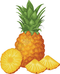 菠萝 菠萝切成片的图像 成熟的菠萝片断 甜热带水果 矢量图营养饮食异国甜点树叶叶子插图果汁食物情调插画
