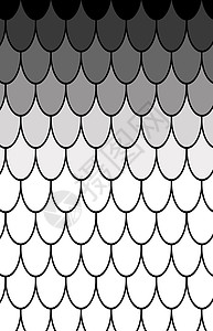鱼类规模原样 第1条 图案 背景 说明风格打印墙纸艺术细胞动物插图装饰品装饰数字背景图片