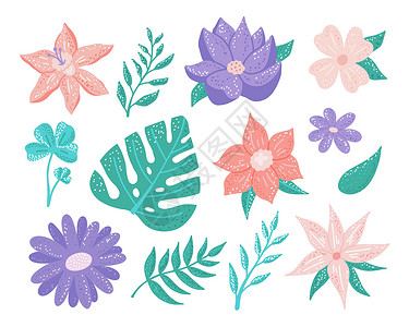 一套用于设计明信片 邀请函的装饰花花和植物设计构件集成物 请柬插画