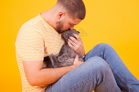 英俊的年轻人亲吻和表情爱他的猫猫科动物拥抱猫舍动物喜悦工作室肩膀男人幸福眼睛背景图片