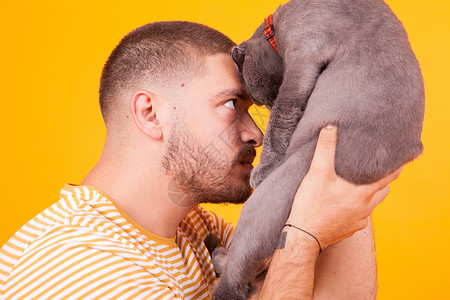 有魅力的年轻人 抱着他漂亮的猫咪幸福眼睛猫舍小猫耳朵男性男人喜悦宠物感情背景图片