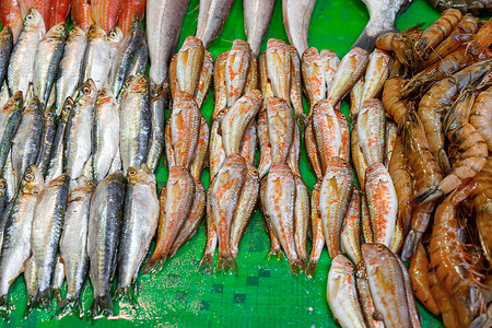伊斯坦布尔销售海产食品美食的市场摊位鱼档海鲜钓鱼旅游旅行柜台零售沿海文化店铺背景图片