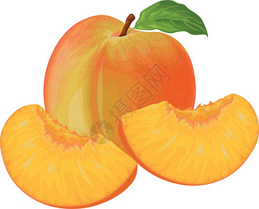 甜油桃桃 桃子的形象 成熟多汁的桃子与一块石头 切开的桃子 成熟的果实 素食维生素产品 矢量图插图收成营养叶子橙子美食季节甜点饮食食物插画