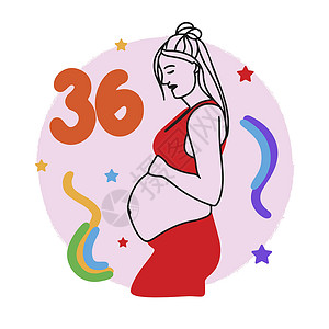 怀孕期大肚子怀孕期 数周 怀孕女孩 大肚子 孕妇 面粉分娩药品母亲考试胎儿学期孩子日程母性女性设计图片