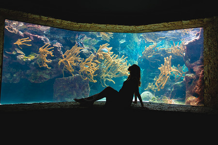 珊瑚钟在巨大的水族馆背景下 一个男人和一个女人的休眠钟海洋珊瑚潜水夫妻蓝色阴影家庭野生动物海洋馆背景