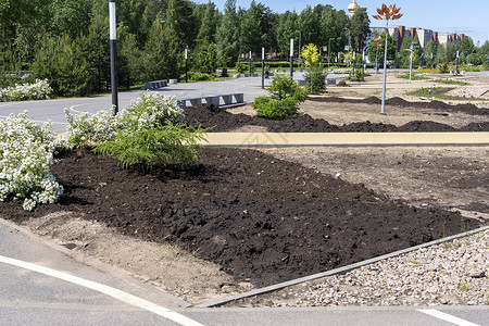 美化地球靠大家城市公园的景观美化 城市改善种植花坛花园街道基础设施树苗植物建筑学季节地面背景