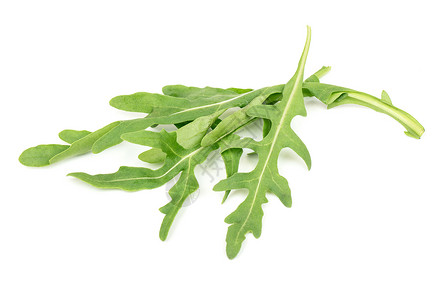 与世隔绝的新鲜新蓝花植物食物健康美食香料蔬菜沙拉火箭叶子饮食背景图片