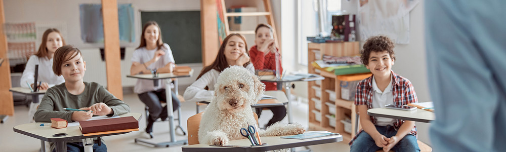 班级横幅素材在小学上课时快乐的混合儿童学生 中间有一只狗背景