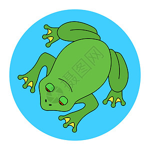 沼泽顶端的绿色大青蛙设计图片