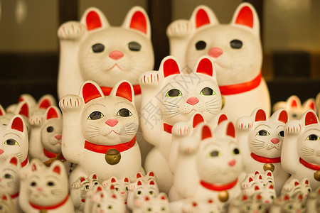 邀请猫 东京 上岛 的图片装饰品邀请函十二生肖生意动物新年贺卡宠物百货配饰背景图片