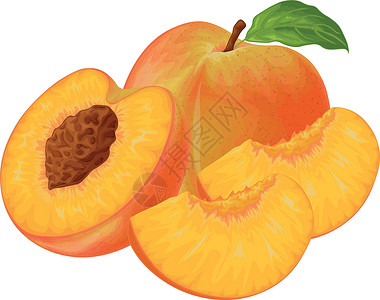 桃 桃子的形象 成熟多汁的桃子与一块石头 切开的桃子 成熟的果实 素食维生素产品 矢量图收成季节食物插图果汁营养团体饮食甜点水果插画
