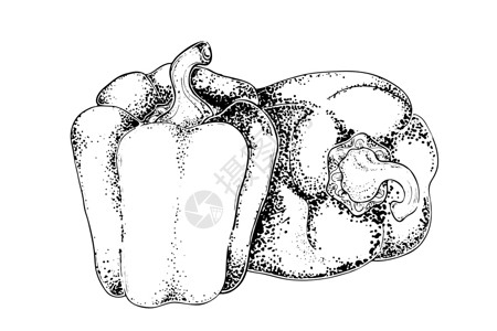 白背景下的辣椒白背景的胡椒 以木切为风格 甜辣椒 蔬菜 健康食品和香料 桌上有两片胡椒 矢量说明插画