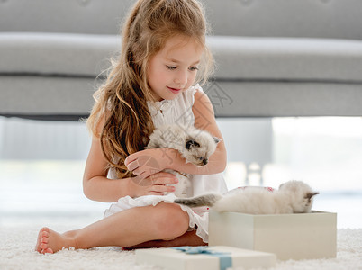 女孩有小猫的破布娃娃快乐女性礼物布娃娃乐趣友谊动物盒子宠物惊喜背景图片