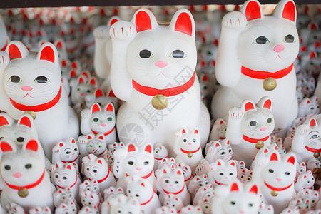 跨年盛典邀请函邀请猫 东京 上岛 的图片财富陷阱文化陶器宠物贺卡新年动物配饰装饰品背景