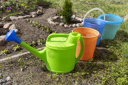 水桶壶在花床和水罐中浇花的彩色水桶蓝色水分家庭环境植物园艺工具卡通片农业花园背景