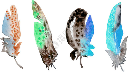 鸟类羽毛元素组装 手画水彩图插图空气绘画创造力刷子艺术收藏草图柔软度动物背景图片