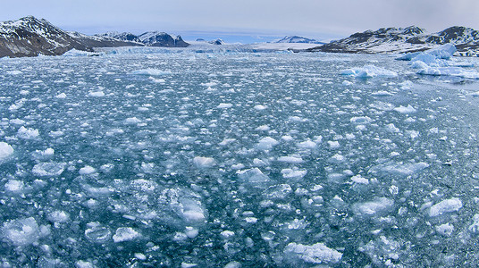 暖气管结冰野生动物观察海景高清图片