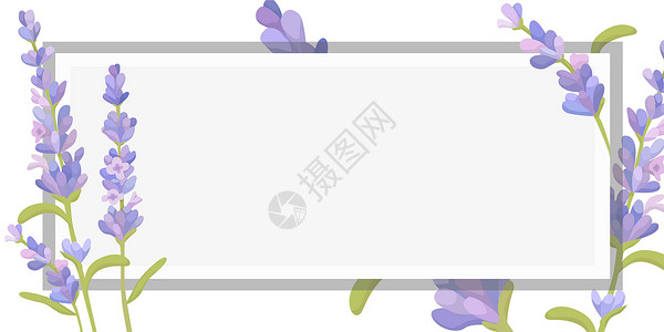 画框是边框周围有叶子和花朵的框架和里面的重要公告 到处都是不同植物的框架和重要信息 有最近想法的花盒邀请函风格海报花瓣绘画花束庆典元素婚礼插画
