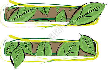 绿叶符号素描图画花园自然收藏字体森林插图生态绘画衬套标识背景图片