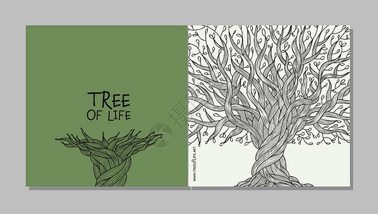 具有根的古老橄榄树 商业概念艺术 卡片 横幅 网络 宣传材料 公司身份模板 矢量插图 您可使用“硬盘”背景图片