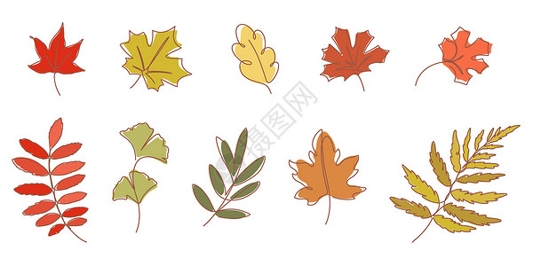 彩线秋季叶叶矢量图解的连续线绘制插画