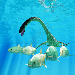 六角恐龙鱼以海为猎食的艾拉斯摩龙背景