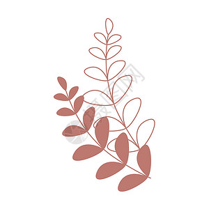 红油香椿叶带有叶叶的半平面颜色矢量装饰元素的分支插画