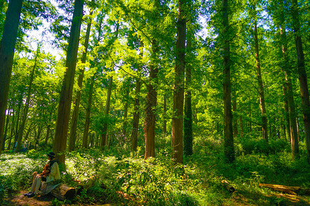 水本公园新绿天空公园病房树木蓝天水分木头高清图片