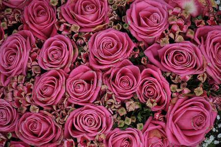 混合粉红玫瑰花玫瑰装饰品装饰新娘婚礼插花紫色鲜花中心捧花背景图片
