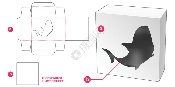 纸鲨鱼装有鲨鱼漫画窗口和透明塑料薄板的箱式鲨鱼卡片框插画