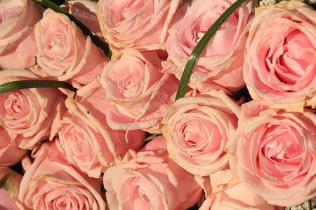 混合粉红玫瑰花装饰新娘插花中心装饰品玫瑰紫色捧花婚礼鲜花背景图片
