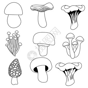 红油金针菇蘑菇漫画概要设计图片