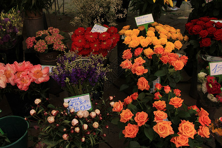 市场上的鲜花销售标签价格花束零售礼物花朵高清图片