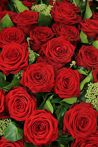 红新娘玫瑰中心鲜花花朵绿色装饰品捧花团体庆典婚礼婚姻背景图片