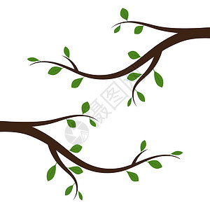 有绿叶树枝的树枝 矢量插图生态生长绿色环境季节边界黑色绘画白色创造力背景图片