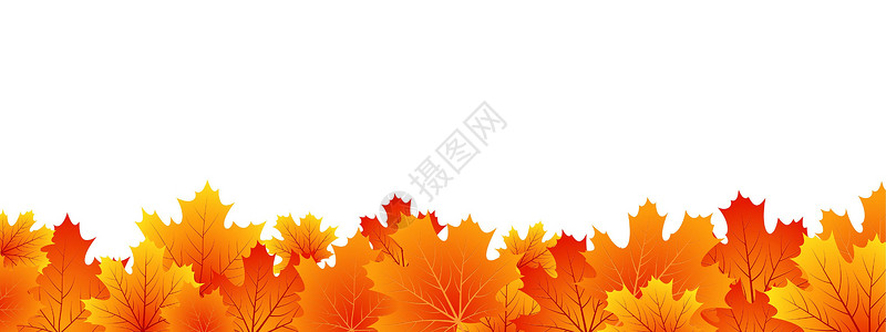 矢量秋季季节背景活力橙子插图红色卡片黄色叶子艺术金子季节性背景图片