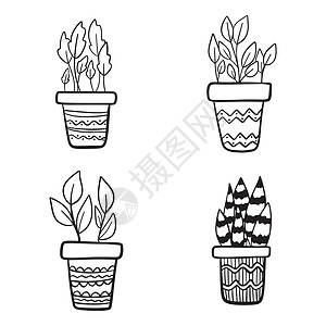 家用置物篮一套家庭种植矢量插图 用简单线条涂面设计 在装饰锅中安装家用植物设计图片