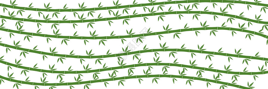 绿竹子背景 矢量插图叶子环境情调农业艺术木头气候生长丛林植物学背景图片