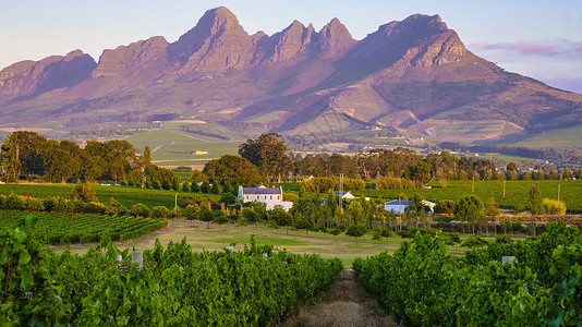 斯泰森南非开普敦附近斯泰伦博施山丘的日落时风景与葡萄园景观农业全景爬坡场地蓝色水果树叶国家旅行农村背景