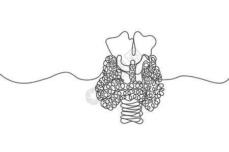 线条绘制图标内分泌学线条艺术高清图片