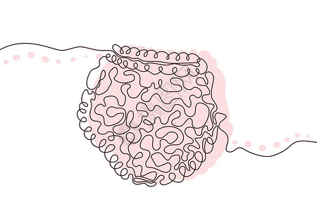 胰肠道手绘图标连续线条绘制和粉红色平面轮廓 人体器官 医学时尚概念 单行设计 轮廓简单图像黑白矢量插画