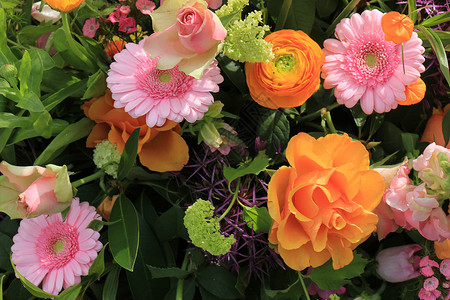 混合花花安排 不同粉色树荫下的各种花朵背景图片