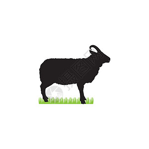 黑山羊哺乳动物艺术图片素材