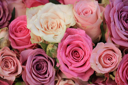混合粉红玫瑰花鲜花插花捧花装饰品装饰婚礼玫瑰紫色新娘中心背景图片