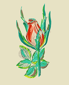 芽剪贴画闭合的玫瑰花 插图 素描风格的徽标标志 绘画草图水彩叶子装饰玫瑰艺术品植物群浪漫标识艺术设计图片