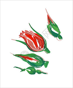 以素描的风格展示了花朵 徽章和图样背景图片