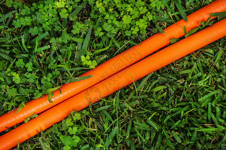 绿色草坪的亮橙色软管( 两条线) 运行对角 从上面查看 摘要园艺背景背景图片