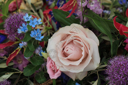 大紫玫瑰 花花红的婚礼装饰 蓝色和紫色的小花朵捧花插花新娘玫瑰鲜花花瓣花束背景图片