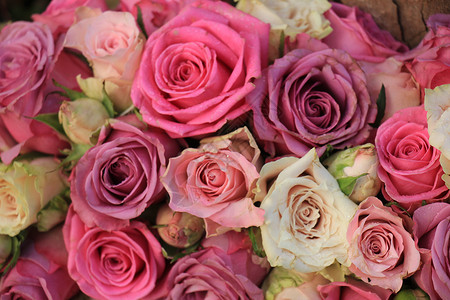 鲜花婚纱装饰中的混合粉红玫瑰中心捧花装饰品玫瑰紫色新娘婚礼插花背景图片