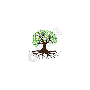 根室标志抽象树标志设计 绿树和叶子 根向量生命之树标志设计的灵感与白色背景隔离木头森林生物植物学商业橡木草图环境标识生长插画
